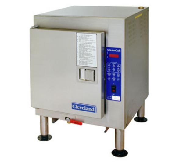 Electric Steamer